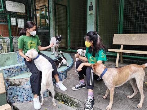 manila city pound contact number